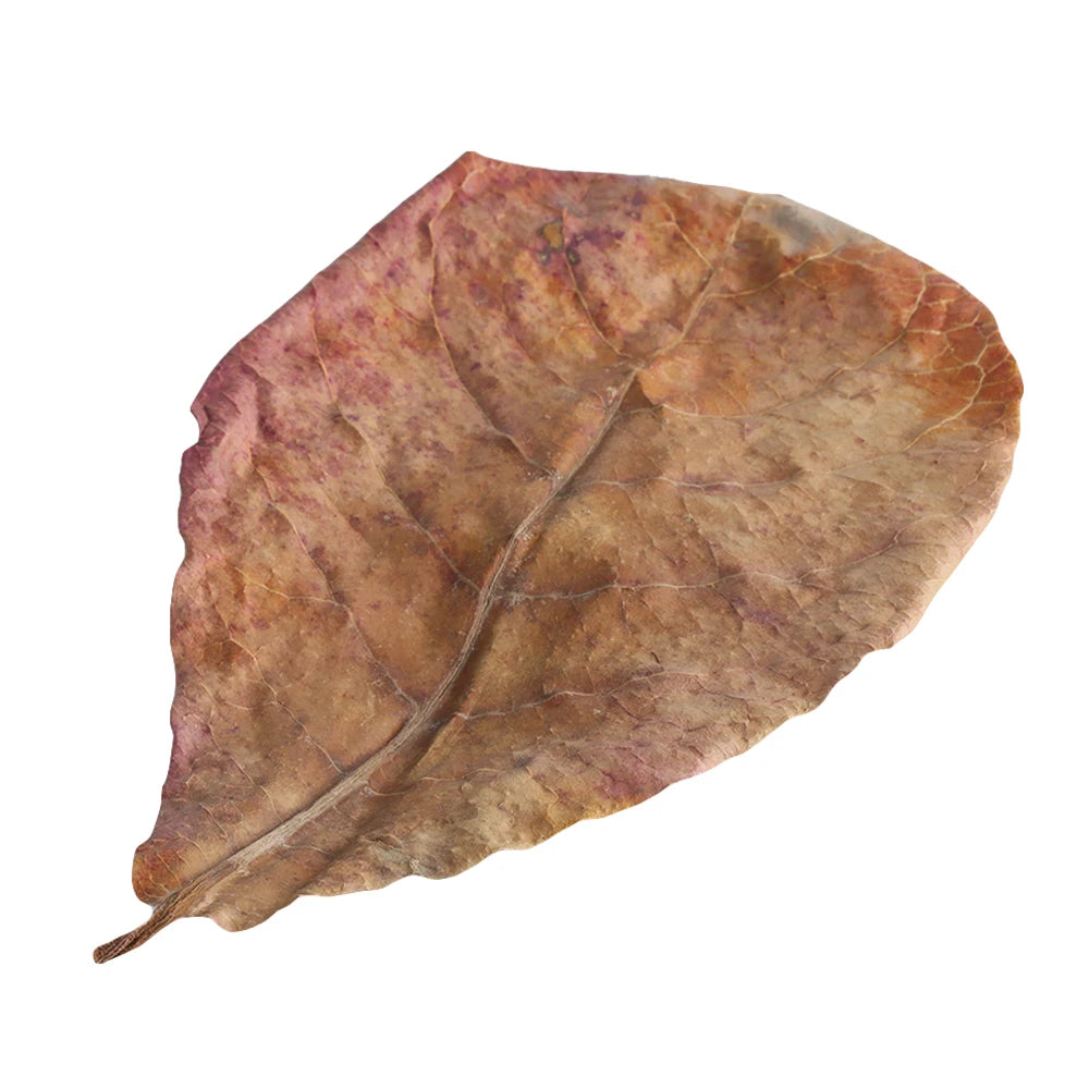 689973071-1